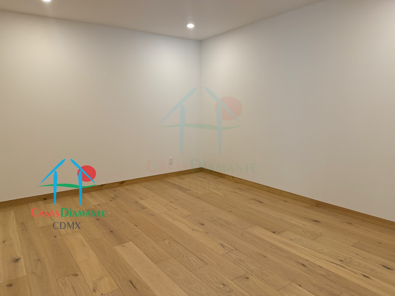 Las Aguilas Ursus BJB - Sala de TV 1